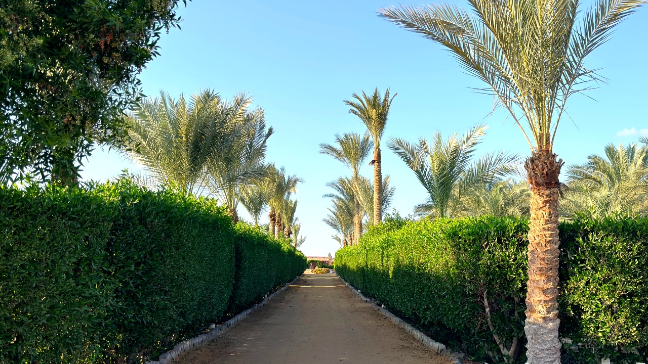 صورة بيت الأمير تادرس 15